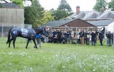 Copy Right Sarah Ebbett Photography